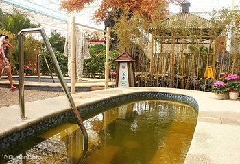 山西凤凰山庄第 21 张图片