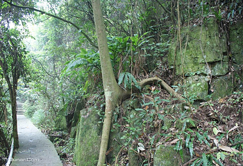 福州永泰天门山景区第 33 张图片