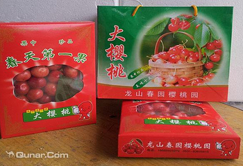 春园樱桃园第 3 张图片