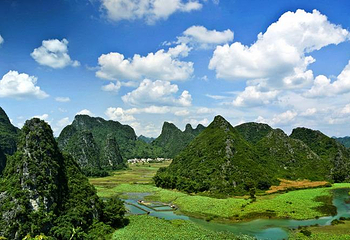 广西平果布镜湖•荷莲世界第 24 张图片