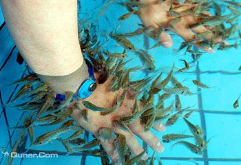 鱼乐足浴馆第 1 张图片