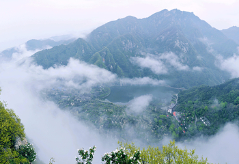 翠华山·秦岭终南山世界地质公园第 16 张图片
