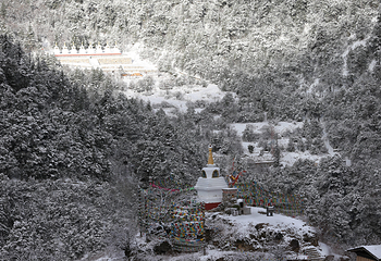 香格里拉巴拉格宗风景名胜区第 43 张图片