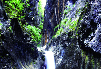 香格里拉巴拉格宗风景名胜区第 117 张图片