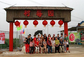 龙翔树莓第 1 张图片
