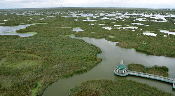 国府湿地庄园温泉