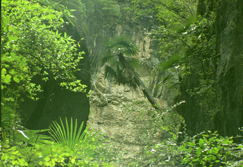 香格里拉巴拉格宗风景名胜区第 128 张图片