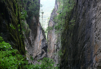 香格里拉巴拉格宗风景名胜区第 131 张图片
