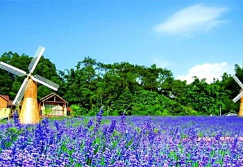 星罗纪大森林景区(广州二龙山花园)第 11 张图片