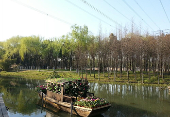 昆山森林公园第 1 张图片