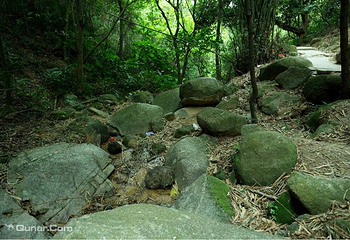 火炉山森林公园第 7 张图片