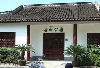 古树公园第 8 张图片