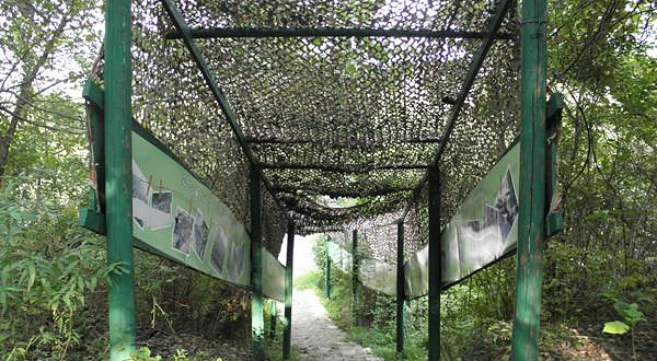 艾克深野战训练营