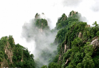 内乡宝天曼生态文化旅游区第 13 张图片