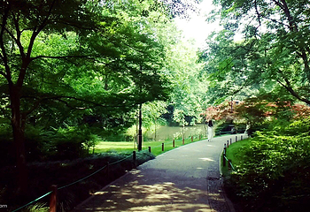 西湖风景区-太子湾公园第 2 张图片