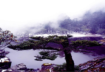 螺髻九十九里温泉瀑布风景区第 36 张图片