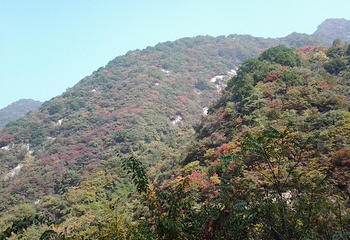 大瓢沟第 3 张图片