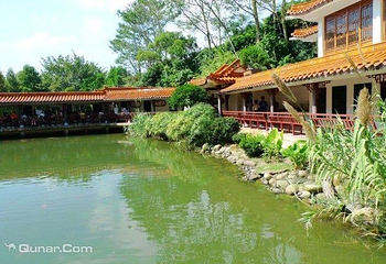 仙湖化石森林第 8 张图片