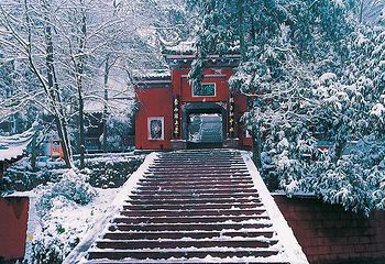 蒙顶山第 15 张图片