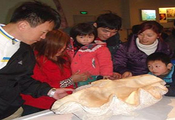 中华侏罗纪探秘旅游区第 23 张图片