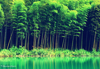 天目山月亮湾漂流第 12 张图片