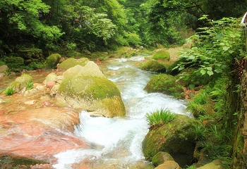 湖北三角山旅游度假区第 13 张图片