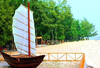 北海金海湾红树林生态旅游区第 37 张图片