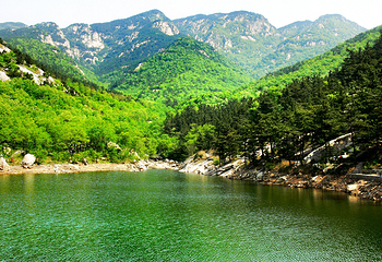 沂蒙山云蒙景区(蒙山国家森林公园)第 42 张图片
