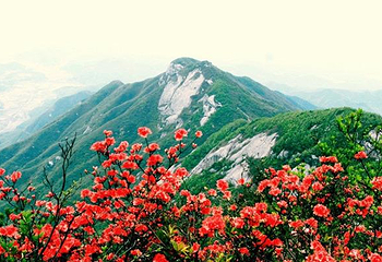 南岳衡山风景名胜区第 129 张图片