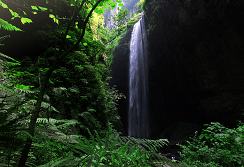 龙水峡地缝第 16 张图片