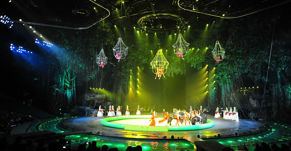 长隆欢乐世界 广州长隆国际马戏大剧院平日全票