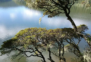 普达措国家公园第 39 张图片