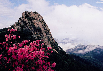 沂蒙山云蒙景区(蒙山国家森林公园)第 22 张图片