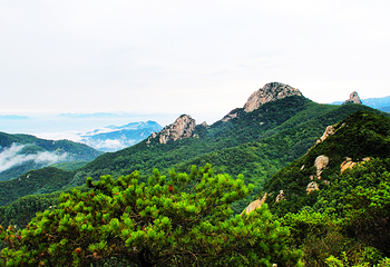 沂蒙山云蒙景区(蒙山国家森林公园)第 10 张图片