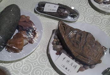 金石滩地质博物馆第 8 张图片
