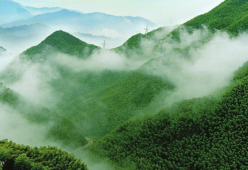十里竹海大峡谷第 1 张图片