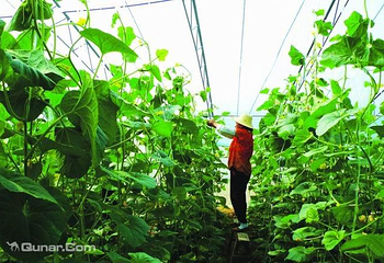 彭墩乡村世界第 9 张图片