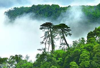 南宁大明山风景旅游区第 38 张图片