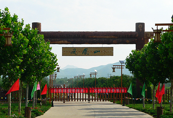 山西凤凰山生态植物园第 21 张图片
