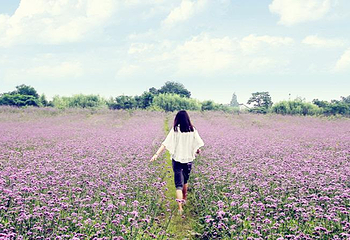 梅花洲第 25 张图片