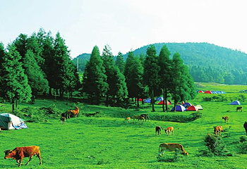 重庆千野草场景区第 23 张图片