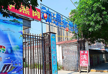 凤三动漫水世界第 10 张图片
