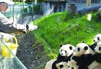 遵义动物园第 3 张图片