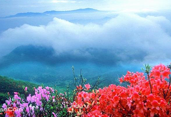 相思山度假区第 15 张图片
