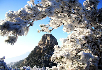 沂蒙山云蒙景区(蒙山国家森林公园)第 8 张图片