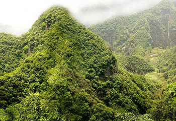 东石笋风景区第 8 张图片