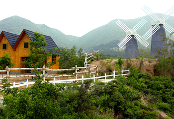 山西凤凰山生态植物园第 26 张图片