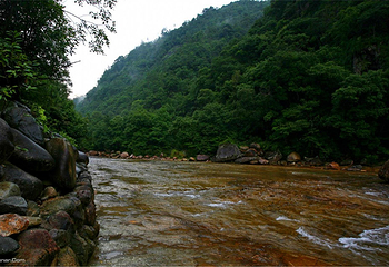 武夷山泰平洋水上广场第 11 张图片