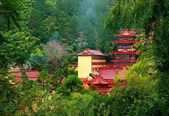 东天目山景区第 24 张图片