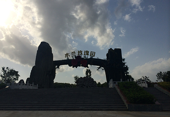 木兰玫瑰园第 25 张图片
